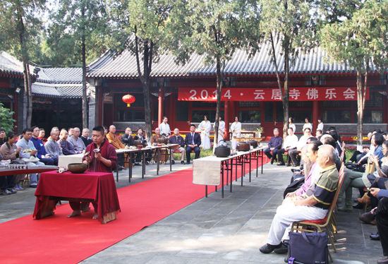 觉茶会现场