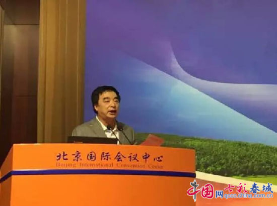 昆明市委副秘书长、东风地区党工委书记张士华讲话