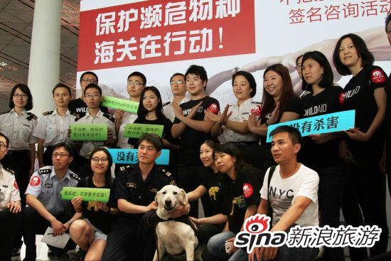 著名钢琴家朗朗作为野生救援协会(WildAid)的志愿者参加活动