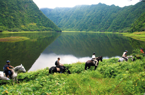 骑马穿梭于彩色木森林