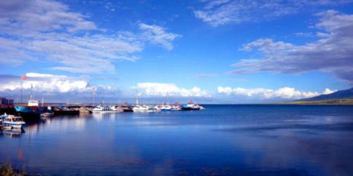 青海湖嵌在青藏高原的蓝宝石 手机新浪网