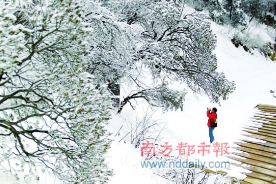 冬游神农架，不仅可以领略到奇花异草的神秘色彩，还可以饱览神农架银装素裹、冬雪冰挂等景观。