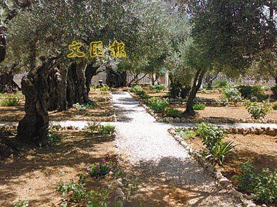 客西马尼园(Gethsemane)
