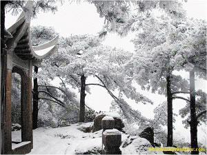 黄山冬景甲天下