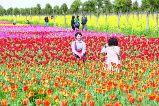 美人腿 特色花卉观赏区