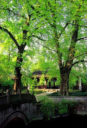 成都浣花溪公园