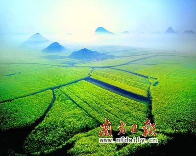 绝美的风景