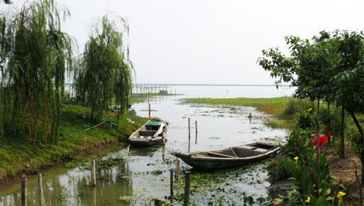 莲花岛