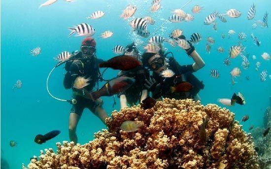 新浪旅游配图：海南潜水