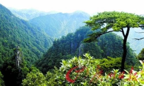 莽山将军石景点