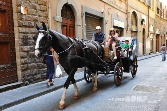 新浪旅游配图：意大利观光马车 来源：晨小牛旅游摄影的新浪博客