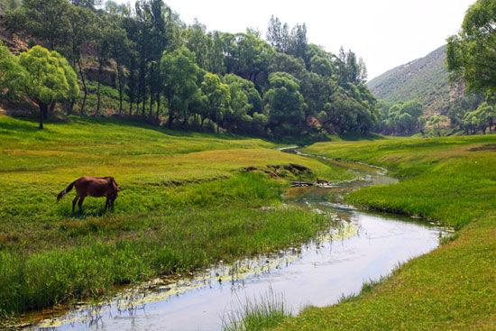 新浪旅游配图：乌审旗的大沟湾的田园风光 图：独往者
