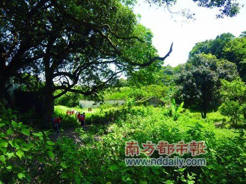 马峦山红花岭村外可以扎营。林曦屏 摄
