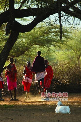 村子里，青年男子们在训练调高和合唱。