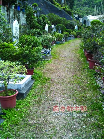  快活谷墓园里环境清幽