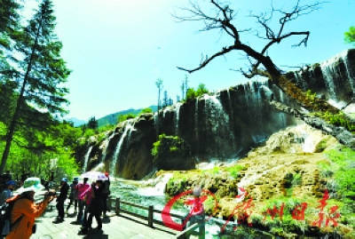 到九寨沟慎买牦牛肉