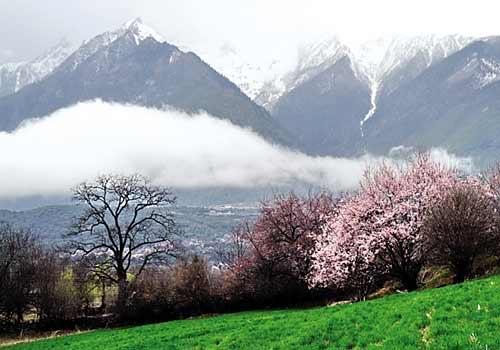 点击图片进入下一页