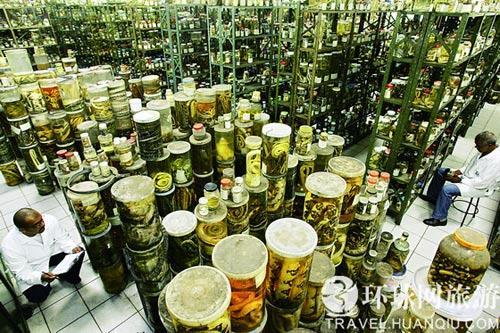 巴西毒蛇研究中心