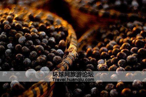 阿萨伊，国人称之为巴西莓