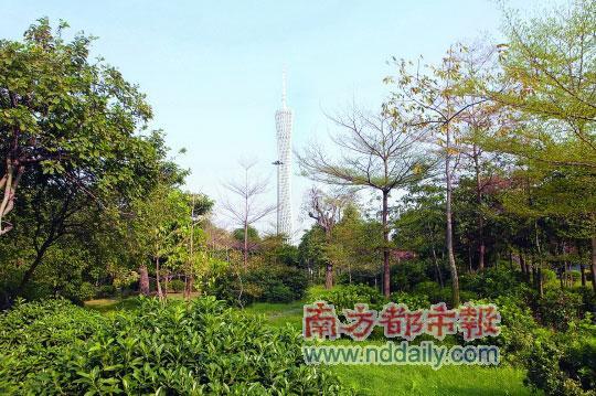 点击图片进入下一页