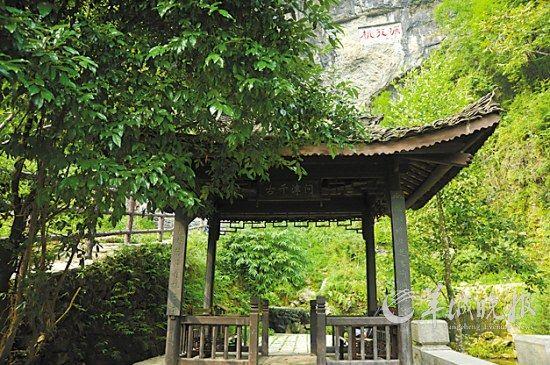 桃花源美景 酉阳桃花源景区提供