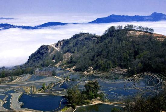 梯田美景