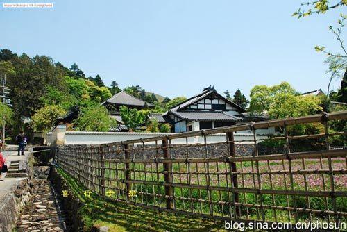 田园一样的风光