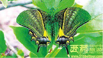 点击图片进入下一页