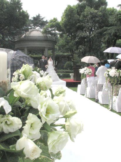 草坪婚礼