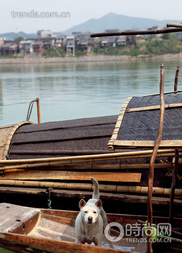 渡口 小船 白狗