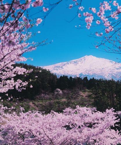 日本东北部