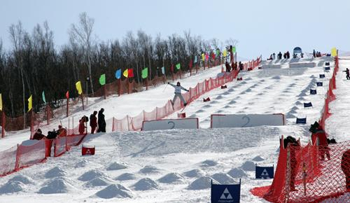 雪上技巧
