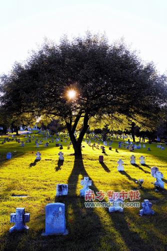 墓园之旅