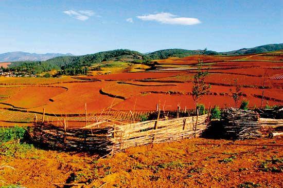 云南东川红土地(张天林 东方IC)