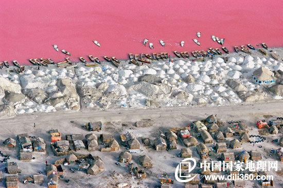 图为从空中俯瞰玫瑰湖畔堆成小山一样的盐。