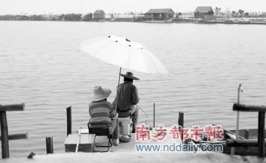 在海鸥岛垂钓，这场景让人内心温暖