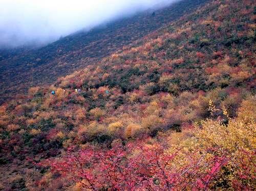 康定情歌(木格措)景区
