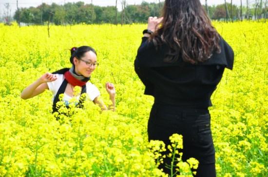 莲花岛的油菜花