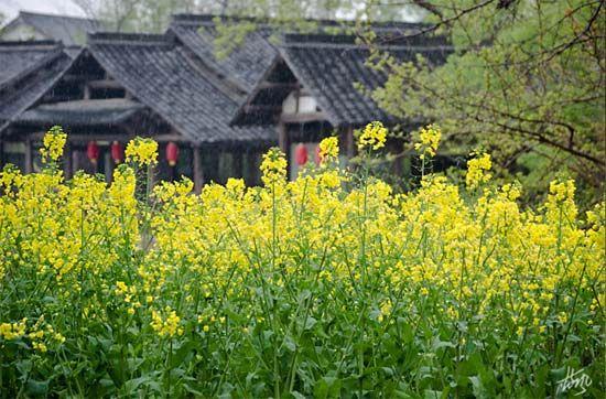 点击图片进入第一页