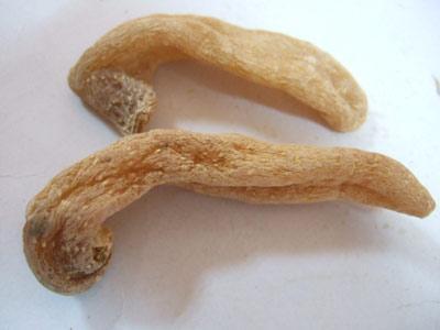 天麻