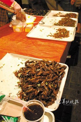 高蛋白的油炸小虫子
