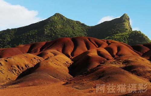 毛里求斯