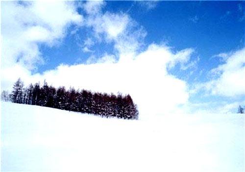 冬季的北海道