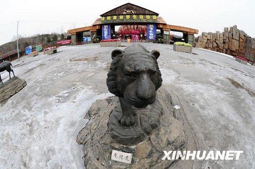 沈阳森林野生动物园门前的一个东北虎塑像