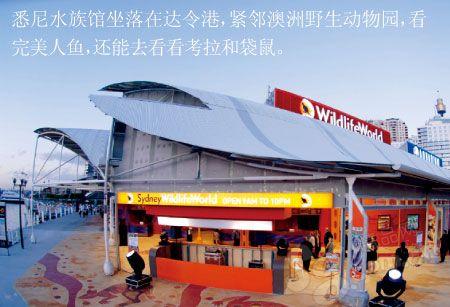 悉尼水族馆坐落在达令港，紧邻澳洲野生动物园，看完美人鱼，还能去看看考拉