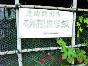 点击图片进入第一页