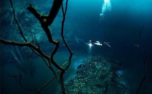 Cenote Angelita的水下河景点的美丽景色深深地迷住了潜水员和摄影师们