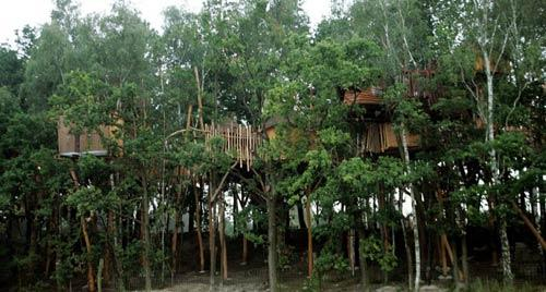 这是2005年在萨克森州开张的第一家德国树屋旅馆，木质房间之间都有狭窄的人行通道相连。