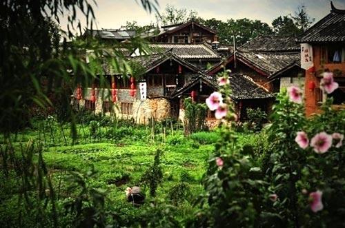 束河美景