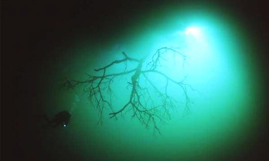 这些洞穴和地下河流形成于6500年前